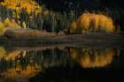 USA-Colorado-Uncompahgre National Forest Forest reflects in pond Art Print